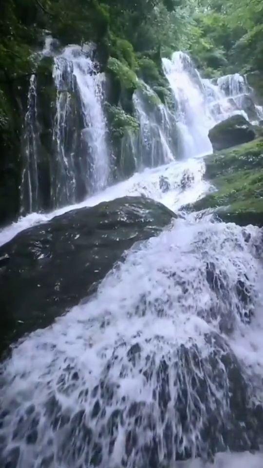 小水虾苗,还有泥鳅苗,这两种苗,可以扔在池塘小河,不用喂食,等他吃泥土可以自然长大吧?-专业问答社区